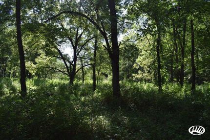 Property in Appanoose County, Iowa