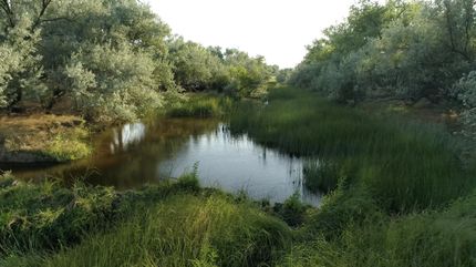 Property in Yuma County, Colorado