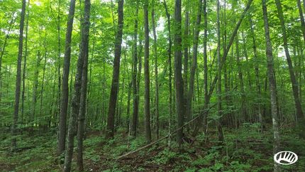 Property in Sawyer County, Wisconsin