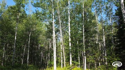 Property in Bayfield County, Wisconsin