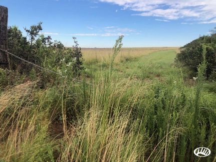 Property in Roger Mills County, Oklahoma