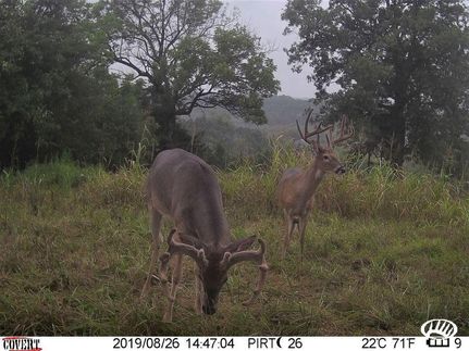 Property in Clark County, Kentucky