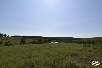 Property in Douglas County, Missouri