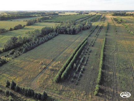 Property in Otter Tail County, Minnesota