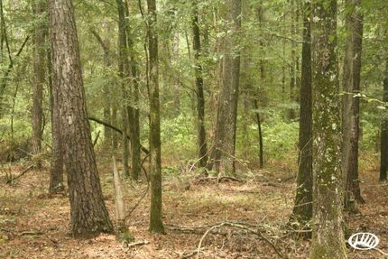 Property in Ouachita Parish, Louisiana