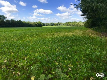 Property in Hillsdale County, Michigan