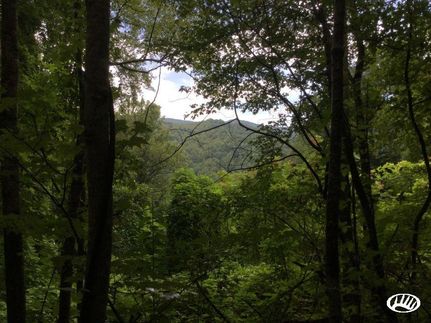 Property in Cocke County, Tennessee