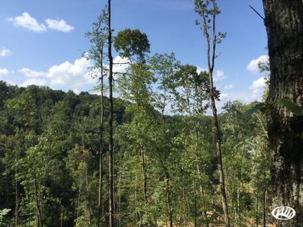 Property in Cocke County, Tennessee