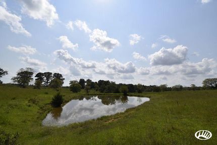 Property in Douglas County, Missouri