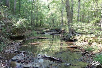 Property in Dickson County, Tennessee