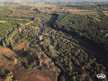 Property in Wadena County, Minnesota