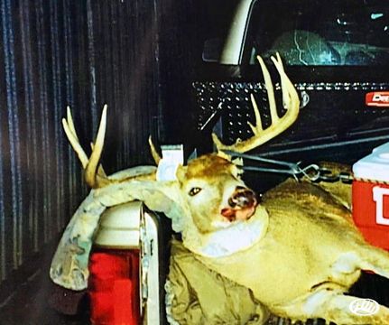 Property in Williamson County, Illinois