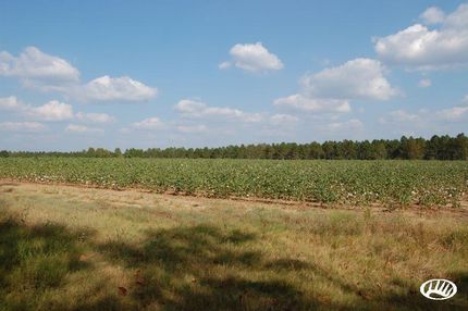 Property in Tattnall County, Georgia