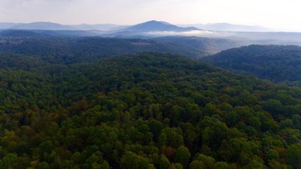 Property in Morgan County, Tennessee