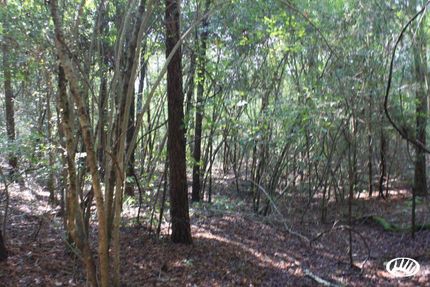 Property in Vernon Parish, Louisiana