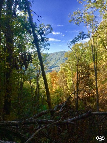 Property in Washington County, Tennessee