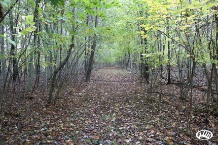 Property in Ashtabula County, Ohio