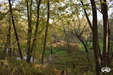 Property in Adams County, Iowa