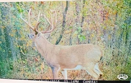 Property in Hardin County, Illinois