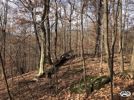 Property in Muskingum County, Ohio