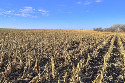 Property in Trego County, Kansas