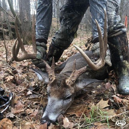 Property in Union County, Illinois