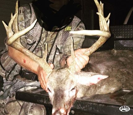 Property in Jackson County, Alabama