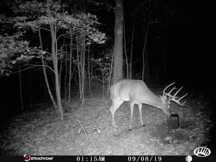 Property in Oregon County, Missouri