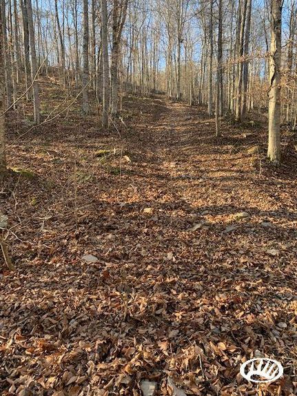 Property in Overton County, Tennessee