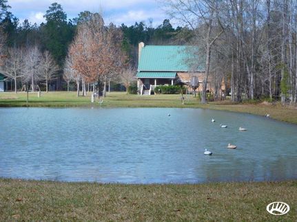 Property in Hampton County, South Carolina