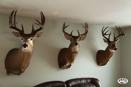 Property in Putnam County, Illinois