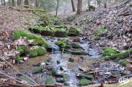 Property in Clarion County, Pennsylvania