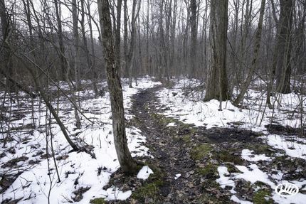 Property in Allegan County, Michigan