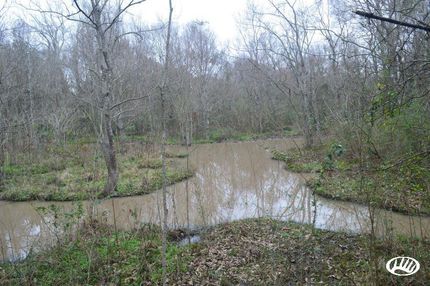 Property in Avoyelles Parish, Louisiana