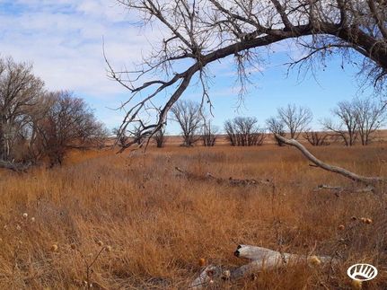 Property in Grant County, Kansas