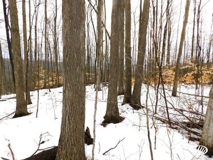 Property in Warren County, Pennsylvania