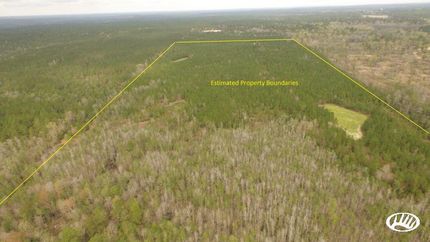 Property in Washington County, Alabama