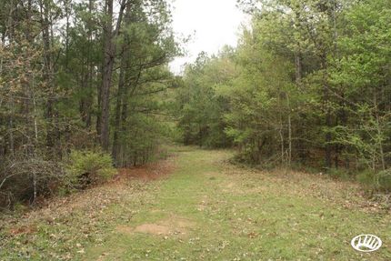 Property in Webster Parish, Louisiana