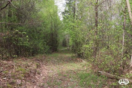 Property in Choctaw County, Mississippi