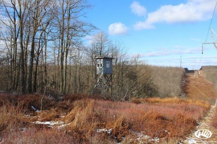 Property in Centre County, Pennsylvania