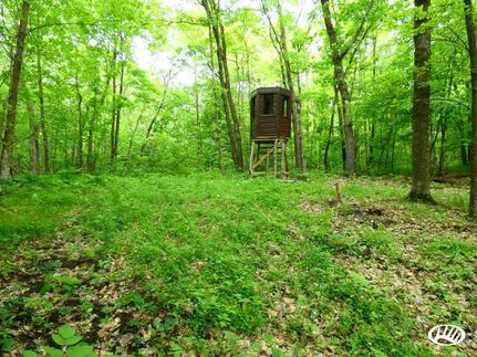 Property in Mahnomen County, Minnesota