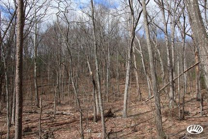 Property in Shenandoah County, Virginia