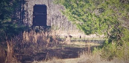 Property in Wilcox County, Alabama