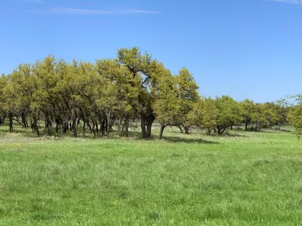 Property in Menard County, Texas