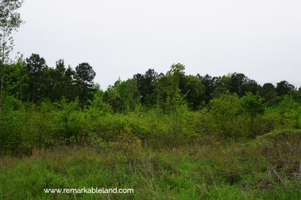 Property in Marion County, Texas