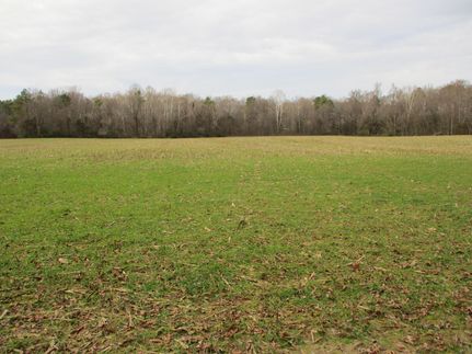 Property in Hanover County, Virginia