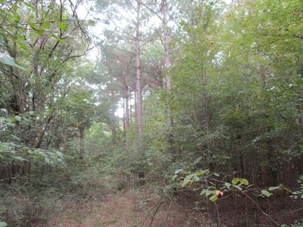 Property in Catahoula Parish, Louisiana