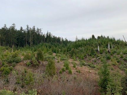 Property in Douglas County, Oregon