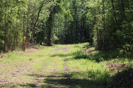 Property in Bladen County, North Carolina