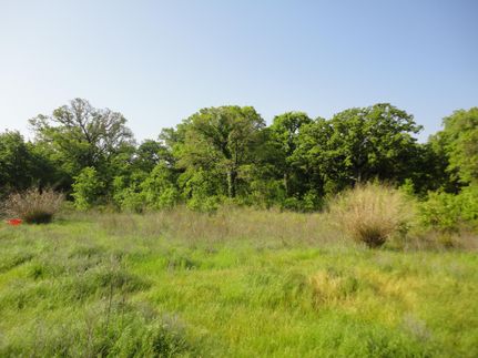 Property in Jack County, Texas